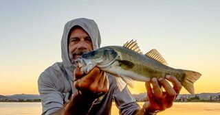 Возвращение Джиджи на лагуну: сибас после нескольких забросов