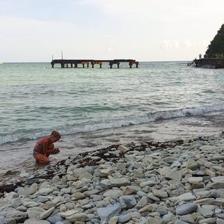 Горбыля в Голубой бухте не нашли, море было грязным