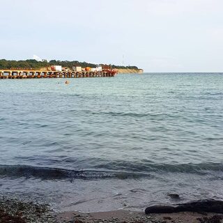 Горбыля в Голубой бухте не нашли, море было грязным