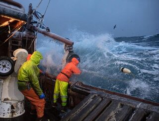 Arctic Lady вышла из Кадьяка к Берингову морю с 211 ловушками