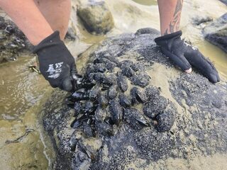 По гравийке к Поуту и на лодке по Кайпаре: рыболовные дни у Даргавилла