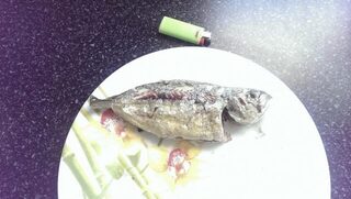 Тунец кальмар и сибас по месяцам на Кипре