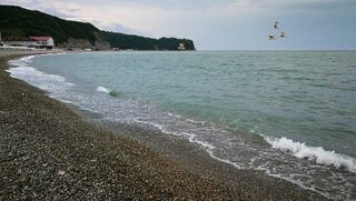 Пирс в Лермонтово после ветра, карась и барабулька