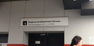 Тубусы со спиннингами на негабаритной выдаче в Шереметьево