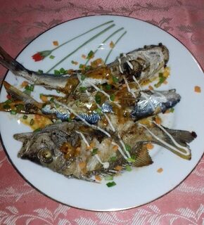 Маравила на Шри-Ланке: лагуна с хлебом, Karimeen, Килия и морской сом с берега