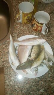 Хургада зимой: ультралайт с берега, фугу и слабый клев вне сезона