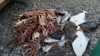 Младший сын в кепке и Лонгиновы с Максимом
