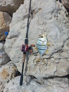 Бахрейн: на рыбалке попался небольшой golden trevally