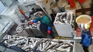 Впервые слышу про чан с водой для рыбы