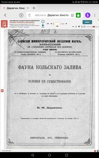 Почему стало меньше удачных отчетов из Териберки?
