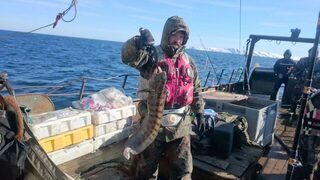 Два улова на сравнение: Баренцуха и Белое море, Чкаловский - стараюсь у берега не рыбачить