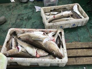 На море главное настроение, хотя и рыба есть