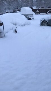 Снова подсыпало снега, предупреждаю собирающихся