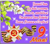Дорожные ямы до Териберки и мойва