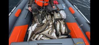 Баренцево море, Териберка: Спасова губа, Кильдин - ребята ловят, погода впечатляет