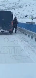 Не бросайте рыбьи отходы с моста через Териберку