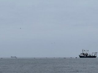 Остров Кильдин в Баренцевом море, Мурманская область: киты, дельфины и клёв был только утром