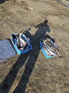 Улов первого дня остался без фото