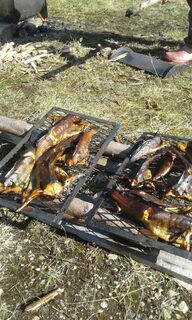 Три встречи с медведями, последняя сразу с двумя