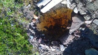 Двинские Луды, Кандалакшский залив: рыбалка, треска, зубатка и сельдь