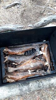 Белое море у Чкаловского в Карелии: ловля трески на банках джигом, в отвес и на креветку