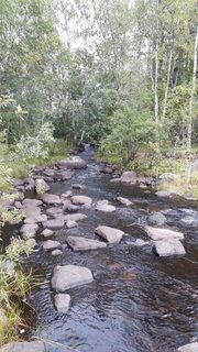Белое море у Чкаловского в Карелии: ловля трески на банках джигом, в отвес и на креветку