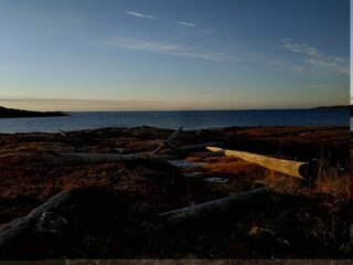Белое море, Двинские луды и остров Кишкин: ловля трески спиннингом в летний штиль на море