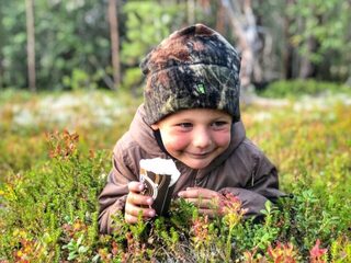 Ездили с детьми и женами - понравилось всем