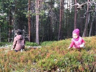 Ездили с детьми и женами - понравилось всем