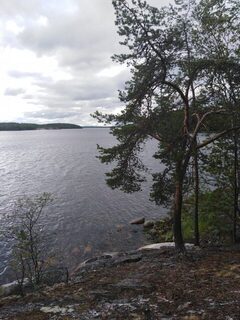 Белое море, Чупа, Карелия: морская рыбалка у островов с треской и камбалой