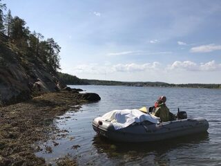 Пежостров, Белое море: первая рыбалка с лодки на треску, зубатку и камбалу в новой точке