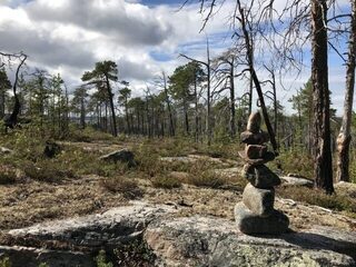 Пежостров, Белое море: первая рыбалка с лодки на треску, зубатку и камбалу в новой точке