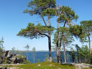 О бесплатной помощи и тесноте на островах