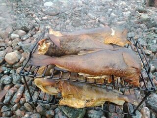 Белое море, Карелия, Чупа: ловля трески с лодки у плоской Двинской луды