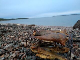 Белое море, Карелия, Чупа: ловля трески с лодки у плоской Двинской луды