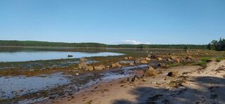 Белое море, Чупа: первая морская рыбалка за треской на джиг с креветкой