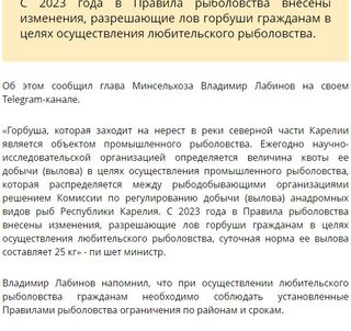 Материал "Столицы на Онего" о горбуше
