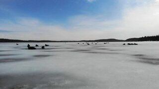 У Керети много тюленей