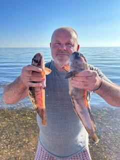 Белое море: порыбачили, накупались вдоволь, и погода была супер