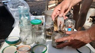 Белое море, остров Кереть: морская рыбалка с отводным поводком и морским червем в августе