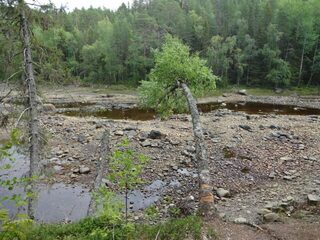 Отлив на реке Никольской в разные годы