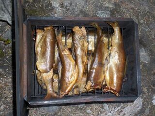 Жить среди родной красоты и беречь ее