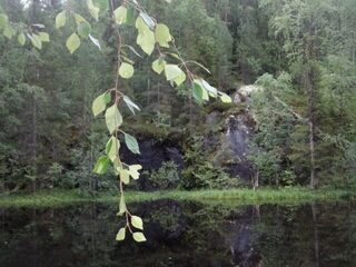 Два маленьких водоема, обе рыбалки без рыбы