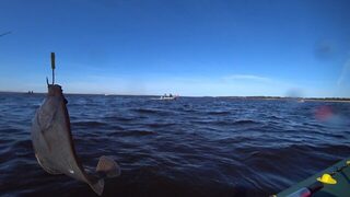 Белое море, окрестности Северодвинска, берега Летний и Зимний: сезон в море они уже открыли