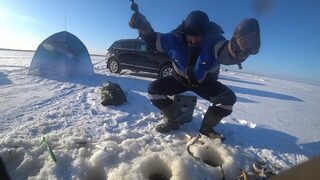 Унская губа Белого моря, устье Кинжуги: мороз за тридцать, треснувший лёд и рыбалка без палатки