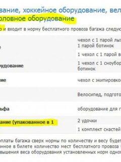 Как считают тубус в багажных местах?