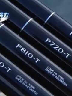Shimano Rod Borderless Limited GL Guideless P Model P900-T