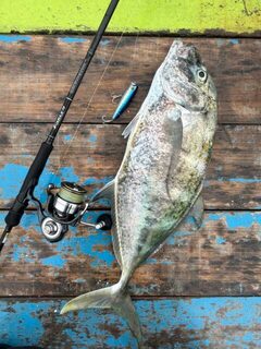 Шпигот Ямаги Early 76MMH сломался на Пхукете после поимки GT и макрели