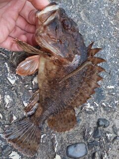 После пресной воды море бьет по эмоциям