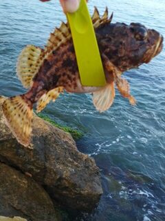 Крайняя вылазка не радовала совсем: Чёрное море, погодка менялась, а рыба бастовала, как только умела